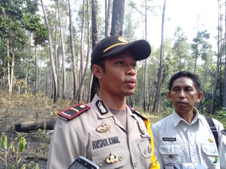 KOTA BAUBAU ALAMI KEBAKARAN HUTAN  SELUAS 4 HEKTAR