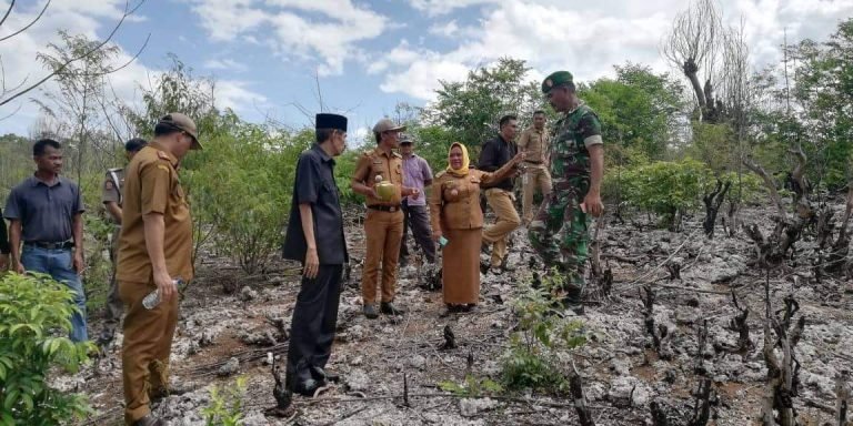 17 LAHAN DI PALABUSA, JADI LOKASI PEMBANGUNAN JEMBATAN BUTON-MUNA