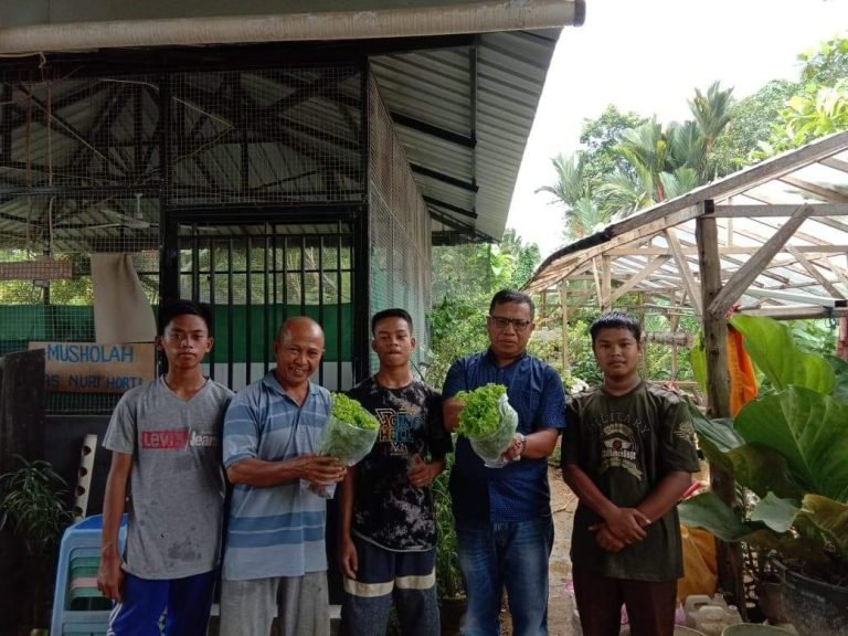 SIKAPI CORONA, MARI BERKEBUN SAYUR DI RUMAH