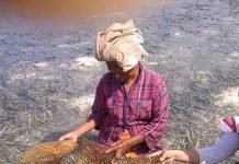 KULU-KULU DAN AKSESORIS