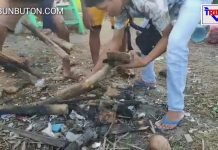 SENSASI PULAU ULAR NIKMATI LIBUR DI AKHIR PEKAN