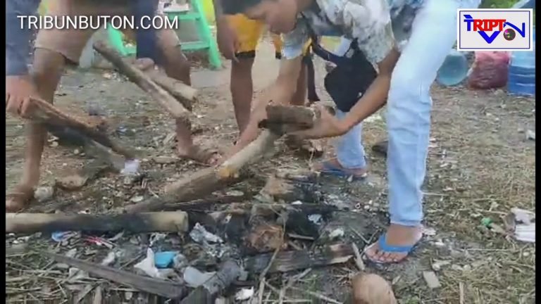 SENSASI PULAU ULAR NIKMATI LIBUR DI AKHIR PEKAN