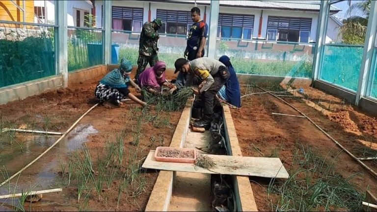 KESULITAN SAYURAN, BHABINKAMTIBMAS BATU BANAWA BIKIN INI