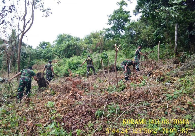 KORAMIL 1413-08/TOMIA MANFAATKAN LAHAN KOSONG SEBAGAI LAHAN PERTANIAN