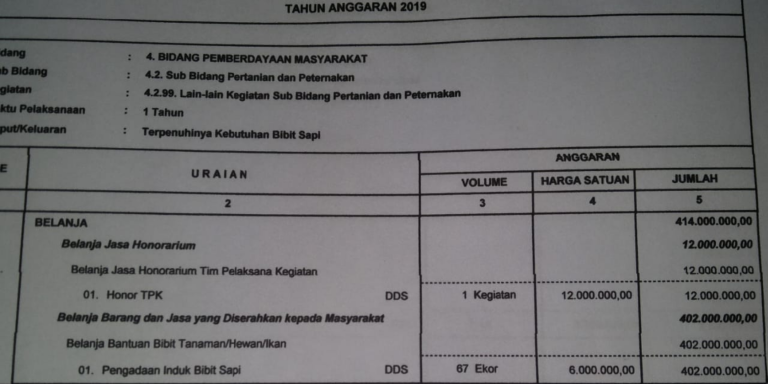 PENGADAAN SAPI 2019 DI DESA BALUARA BELUM TUNTAS