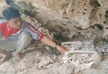 LUKISAN PURBA DI DINDING GUA DI BUTON SELATAN