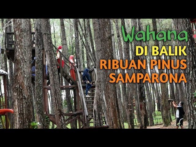 HUTAN PINUS SAMPARONA DENGAN WAHANA BARU MAKIN LENGKAP