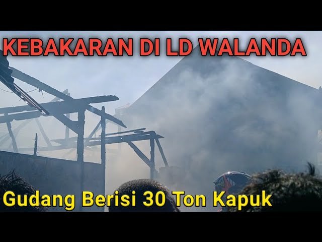 GUDANG 30 TON KAPUK TERBAKAR