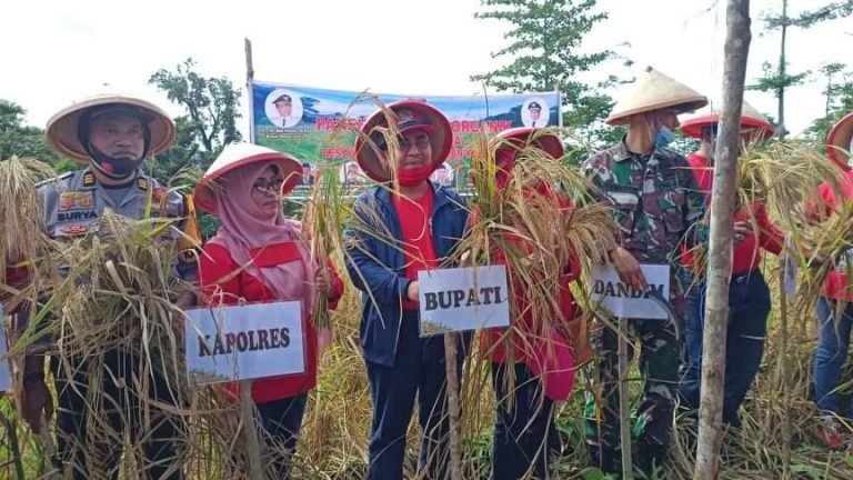 PASCA PANEN, PEMDA BUTUR DIMINTA SIAPKAN PASAR