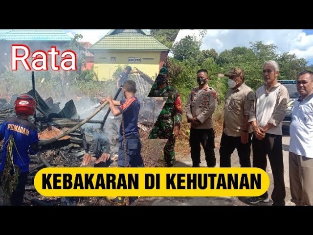 GUBUK DI KEHUTANAN TERBAKAR TINGGAL PUING-PUING