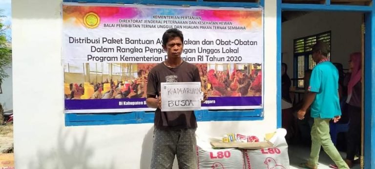 WARGA BUSOA TERIMA BANTUAN TERNAK