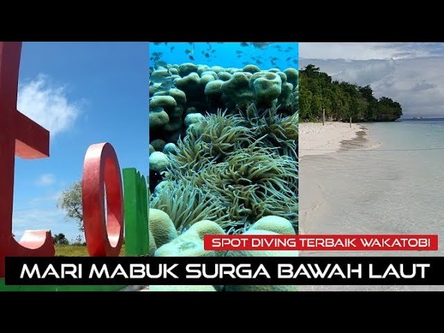 MARI MABOK DAN PANTAI FAVORIT DI PULAU TOMIA