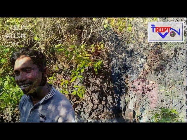 MENGENAL DESA LAGONGGA BINONGKO WAKATOBI