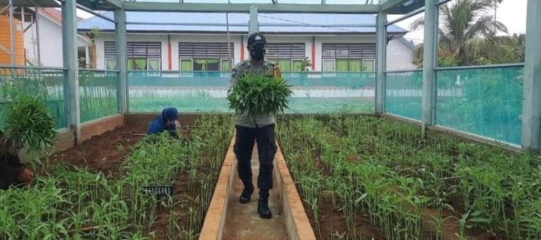 POLSEK MASTIM TUMBUHKAN SINERGITAS BUDIDAYA KETAHANAN PANGAN DITENGAH PANDEMI COVID-19