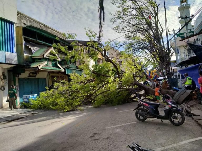 POHON TUMBANG DI LAELANGI