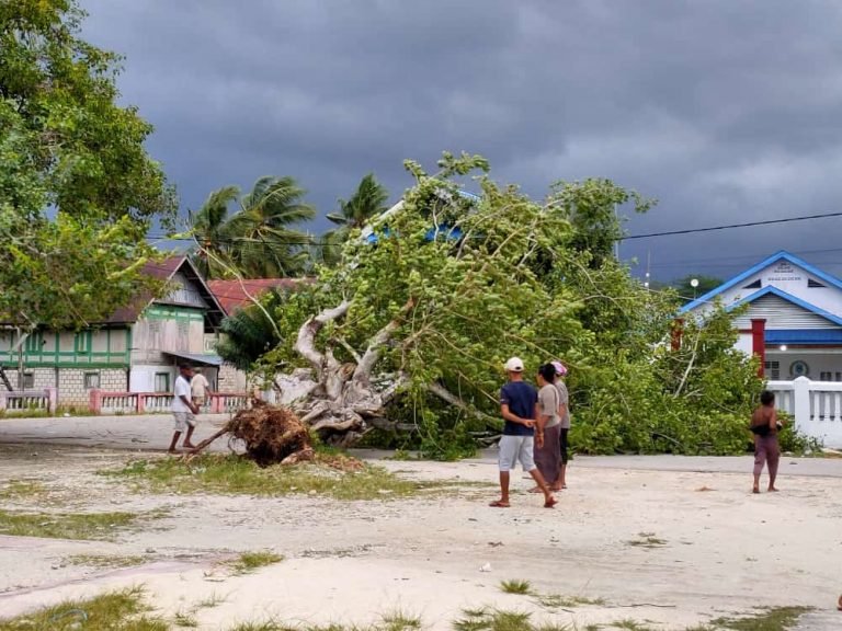 POHON TUMBANG DIDAPAN KANTOR DPRD BUTENG