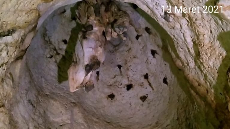 EXOTISME GUA LIANGKAMOI | Mulut Gua di Tepi Jalan, Ornamen Dalam Gua Cukup Indah