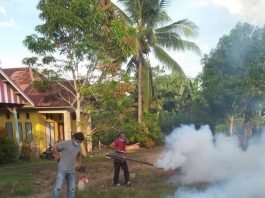 PLT KADIS KESEHATAN BUTUR GERAK CEPAT ATASI DBD