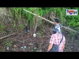 KASIAN MONYET INI JALAN TERSERET-SERET