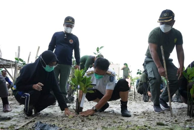 HARI MANGROVE SEDUNIA, PEMDA DAN BTNW TANAM 2021 BIBIT MANGROVE