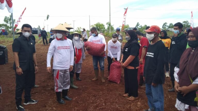 BUPATI WAKATOBI LAUNCHING MERDEKA PANGAN, KADIS PERTANIAN BERHARAP PETANI KEMBANGKAN KOMODITAS