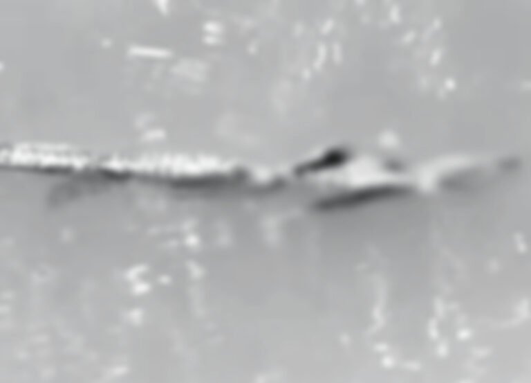 DITERKAM BUAYA, ANAK SMP DINYATAKAN HILANG