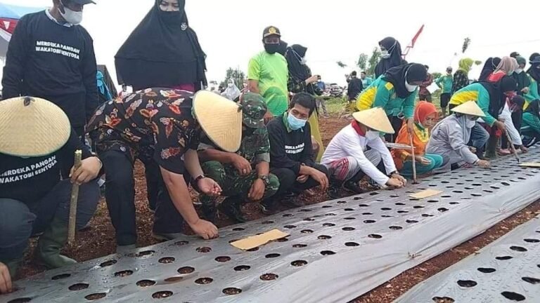 WAKATOBI LAUNCHING MERDEKA PANGAN