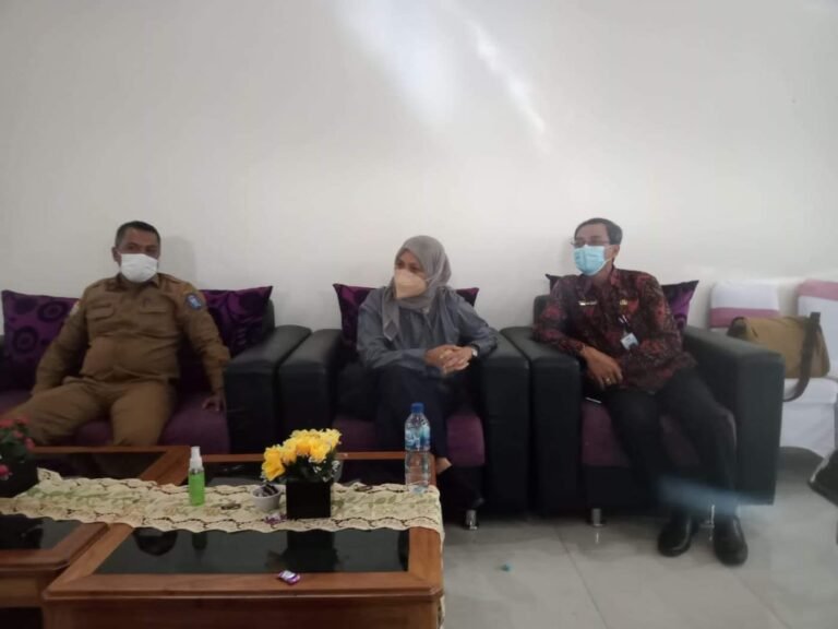 BEGINI TANGGAPAN BPKP TERKAIT RENCANA PEMDA WAKATOBI SUBSIDI LISTRIK