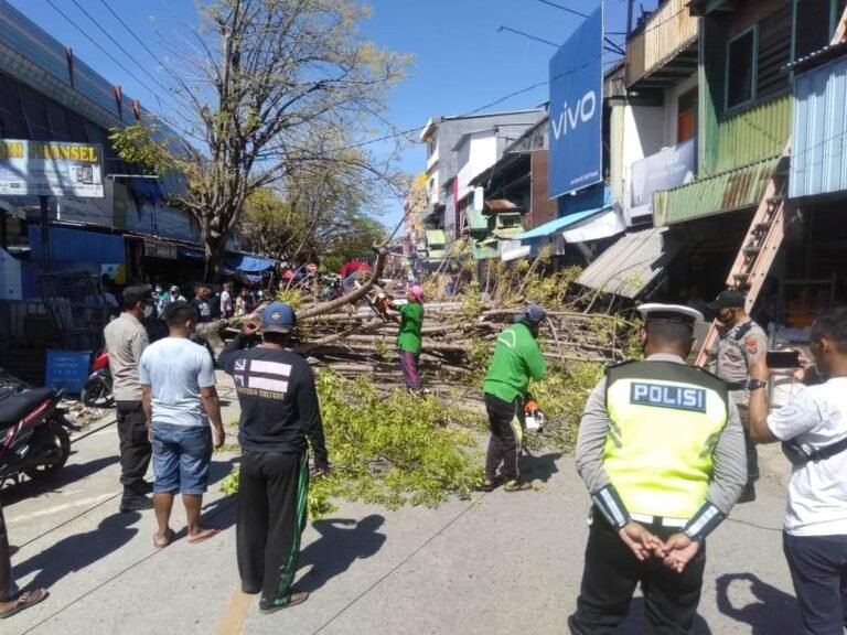 POHON TUMBANG HANTAM TIGA MOTOR
