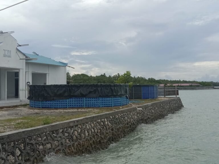 DKP WAKATOBI MULAI KEMBANGKAN BUDIDAYA UDANG VANAME