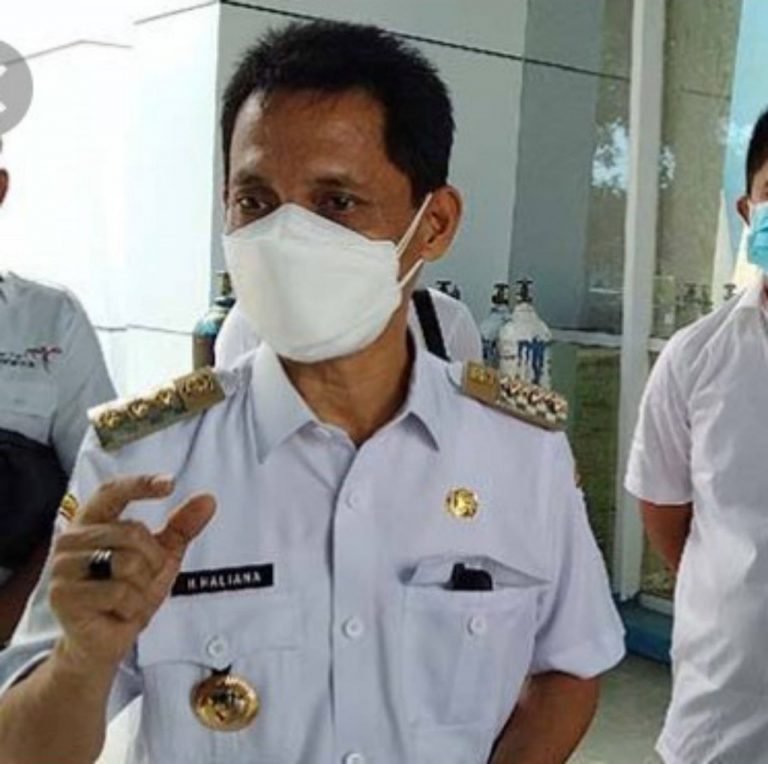 HADIRKAN KEMBALI WINGS AIR HARUS DISUBSIDI, HALIANA: PERAN DPRD WAKATOBI SANGAT MENENTUKAN