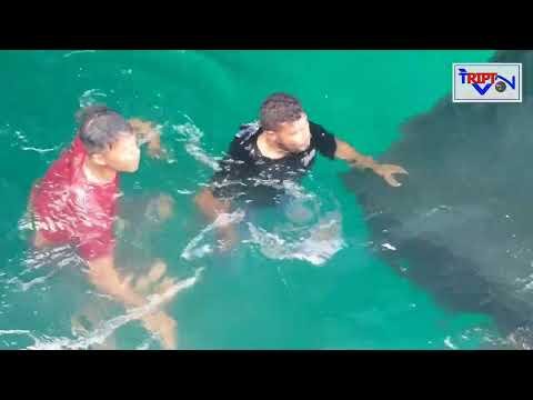 BURU-BURU MAU MUAT BARANG MALAH PICK UP MASUK KELAUT