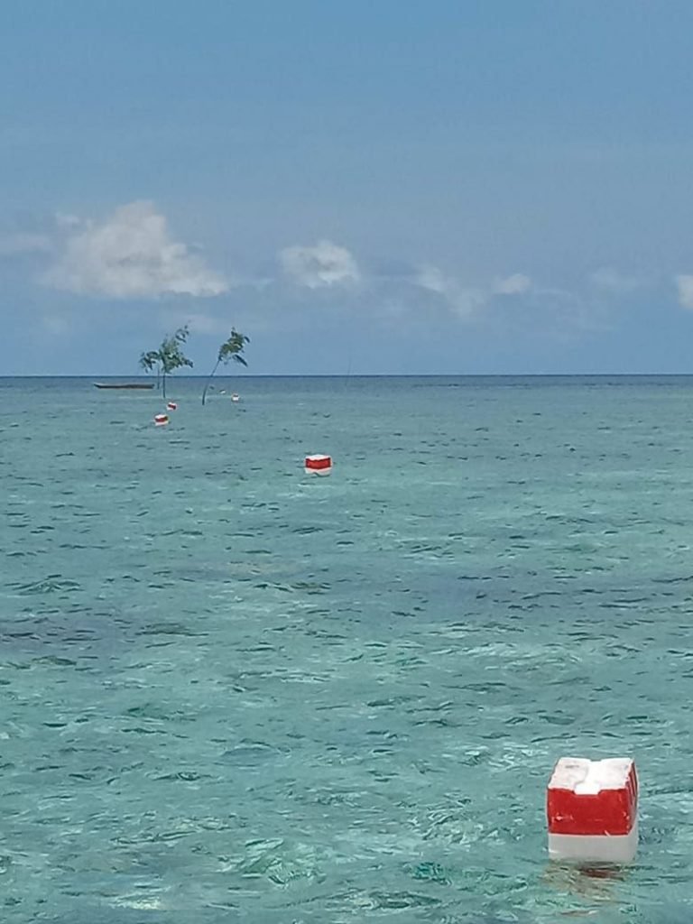 KONSERVASI PESISIR, KADIE KAPOTA WAKATOBI TERAPKAN ZONASI BUKA TUTUP