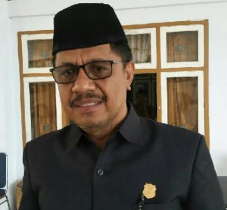 RENCANA PEMKAB SUBSIDI PESAWAT BELUM TEREALISASI, BEGINI SARAN KETUA DPRD WAKATOBI