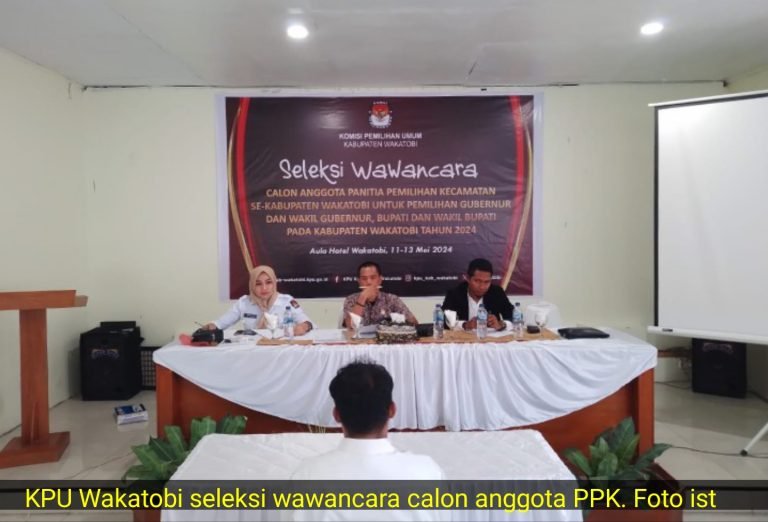 PILKADA WAKATOBI 2024 TIDAK ADA CALON PERSEORANGAN