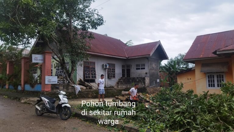 Akibat Angin Kencang, BPBD Kota Baubau Terima 16 Laporan