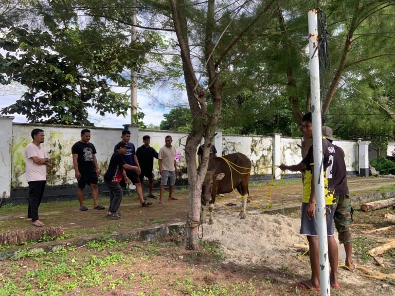 Kantor Pertanahan Wakatobi Kurban Sapi dan Kambing